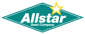 logo Allstar logo allstar