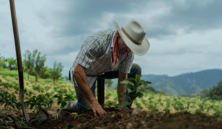 agricultor trabajando agromega agricultor trabajando agromega
