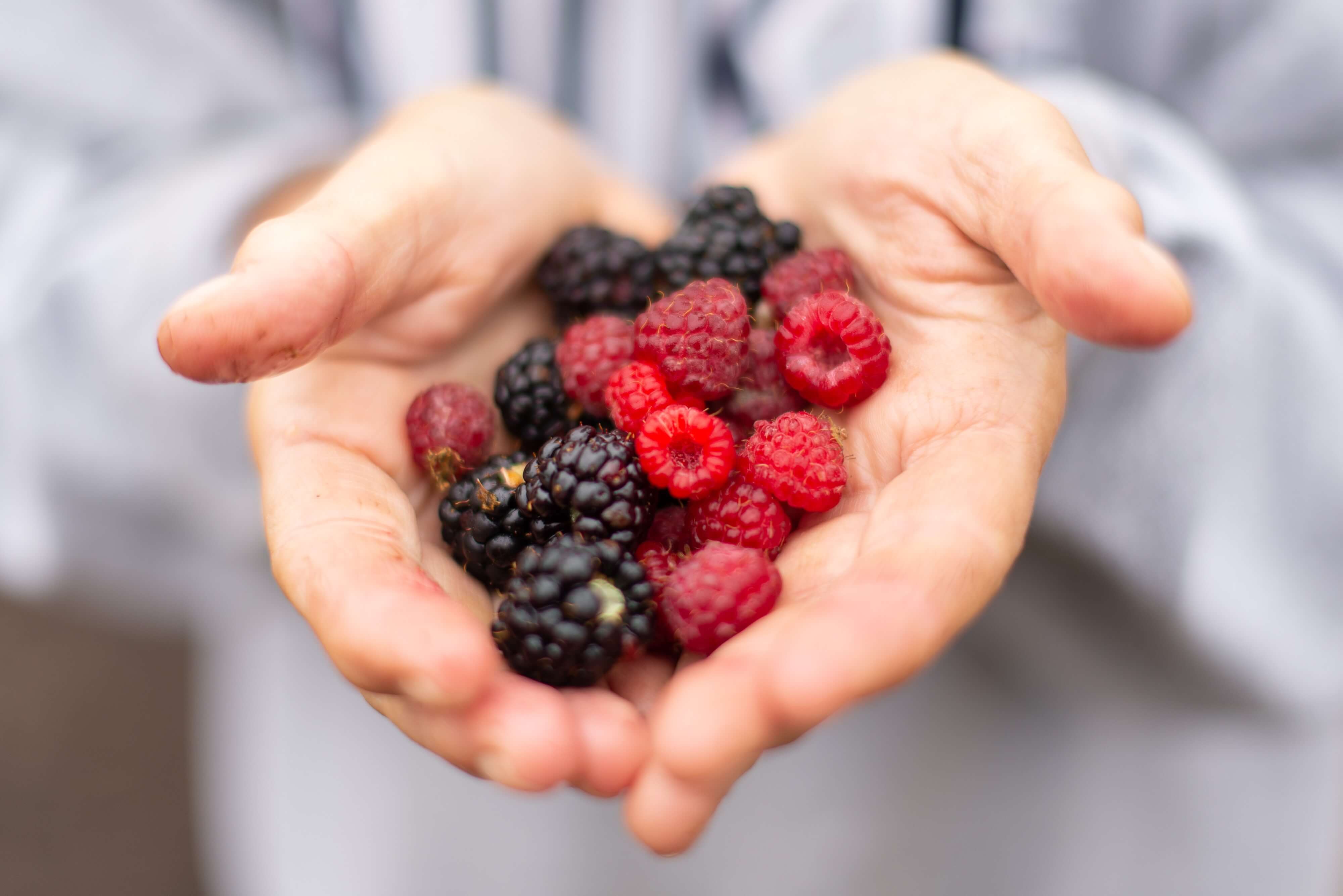 berries berries