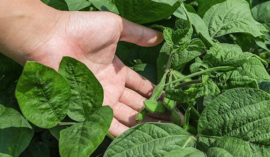 asesoria en nutrición